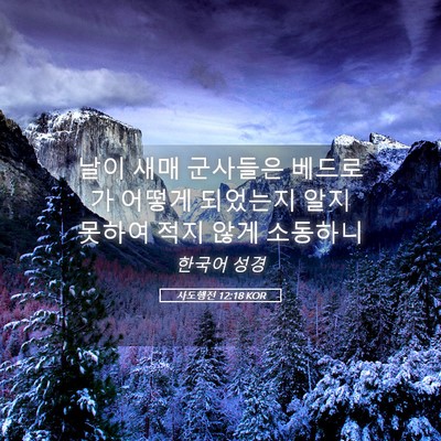 Picture 05 - 사도행전 12:18 KOR - 날이 새매 군사들은 베드로가 어떻게 - Bible Verse Picture