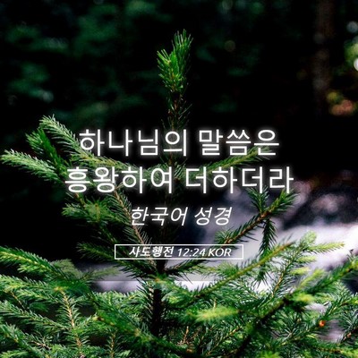 Picture 05 - 사도행전 12:24 KOR - 하나님의 말씀은 흥왕하여 - Bible Verse Picture