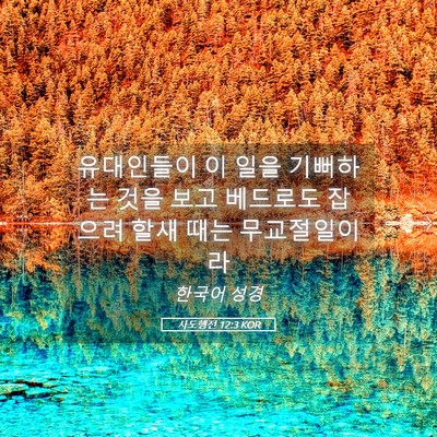 Picture 05 - 사도행전 12:3 KOR - 유대인들이 이 일을 기뻐하는 것을 - Bible Verse Picture