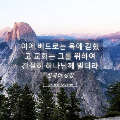 Picture 05 - 사도행전 12:5 KOR - 이에 베드로는 옥에 갇혔고 교회는 - Bible Verse Picture
