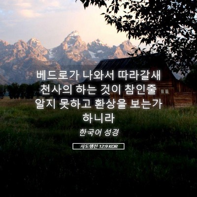 Picture 05 - 사도행전 12:9 KOR - 베드로가 나와서 따라갈새 천사의 - Bible Verse Picture