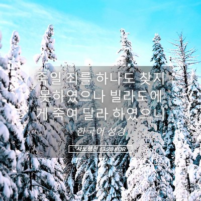 Picture 05 - 사도행전 13:28 KOR - 죽일 죄를 하나도 찾지 못하였으나 - Bible Verse Picture