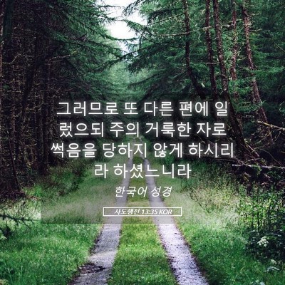 Picture 05 - 사도행전 13:35 KOR - 그러므로 또 다른 편에 일렀으되 - Bible Verse Picture