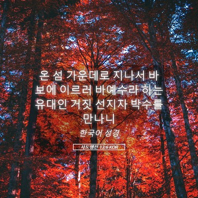 Picture 05 - 사도행전 13:6 KOR - 온 섬 가운데로 지나서 바보에 - Bible Verse Picture