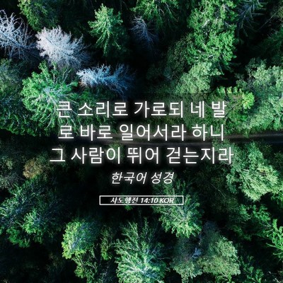Picture 05 - 사도행전 14:10 KOR - 큰 소리로 가로되 네 발로 바로 - Bible Verse Picture
