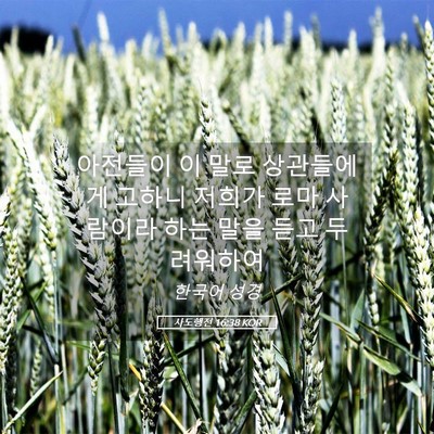 Picture 05 - 사도행전 16:38 KOR - 아전들이 이 말로 상관들에게 고하니 - Bible Verse Picture