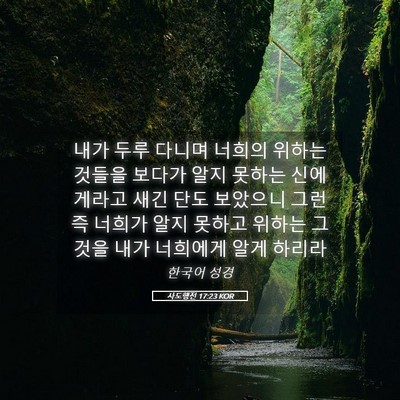Picture 05 - 사도행전 17:23 KOR - 내가 두루 다니며 너희의 위하는 - Bible Verse Picture