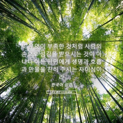 Picture 05 - 사도행전 17:25 KOR - 또 무엇이 부족한 것처럼 사람의 - Bible Verse Picture