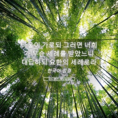 Picture 05 - 사도행전 19:3 KOR - 바울이 가로되 그러면 너희가 무슨 - Bible Verse Picture