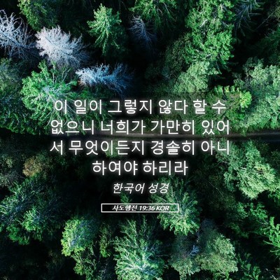 Picture 05 - 사도행전 19:36 KOR - 이 일이 그렇지 않다 할 수 없으니 - Bible Verse Picture