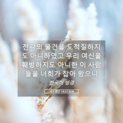 Picture 05 - 사도행전 19:37 KOR - 전각의 물건을 도적질하지도 - Bible Verse Picture