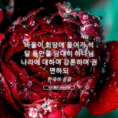 Picture 05 - 사도행전 19:8 KOR - 바울이 회당에 들어가 석 달 동안을 - Bible Verse Picture