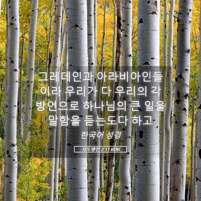 Picture 05 - 사도행전 2:11 KOR - 그레데인과 아라비아인들이라 - Bible Verse Picture