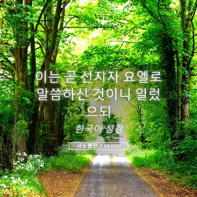 Picture 05 - 사도행전 2:16 KOR - 이는 곧 선지자 요엘로 말씀하신 - Bible Verse Picture