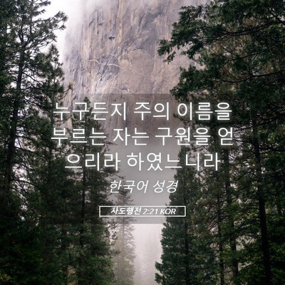 Picture 05 - 사도행전 2:21 KOR - 누구든지 주의 이름을 부르는 자는 - Bible Verse Picture