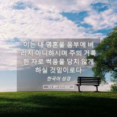 Picture 05 - 사도행전 2:27 KOR - 이는 내 영혼을 음부에 버리지 - Bible Verse Picture