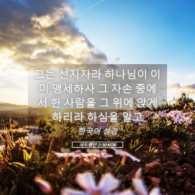 Picture 05 - 사도행전 2:30 KOR - 그는 선지자라 하나님이 이미 - Bible Verse Picture