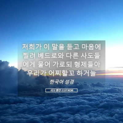 Picture 05 - 사도행전 2:37 KOR - 저희가 이 말을 듣고 마음에 찔려 - Bible Verse Picture