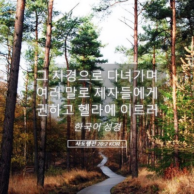 Picture 05 - 사도행전 20:2 KOR - 그 지경으로 다녀가며 여러 말로 - Bible Verse Picture