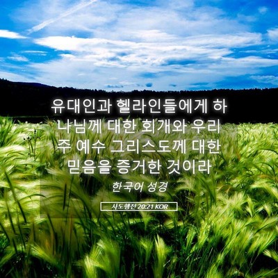Picture 05 - 사도행전 20:21 KOR - 유대인과 헬라인들에게 하나님께 - Bible Verse Picture