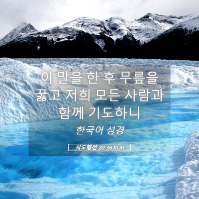 Picture 05 - 사도행전 20:36 KOR - 이 말을 한 후 무릎을 꿇고 저희 모든 - Bible Verse Picture