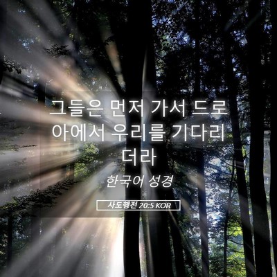 Picture 05 - 사도행전 20:5 KOR - 그들은 먼저 가서 드로아에서 우리를 - Bible Verse Picture
