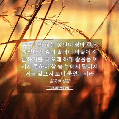 Picture 05 - 사도행전 20:9 KOR - 유두고라 하는 청년이 창에 걸터 - Bible Verse Picture