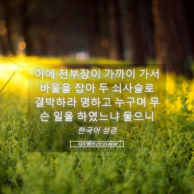 Picture 05 - 사도행전 21:33 KOR - 이에 천부장이 가까이 가서 바울을 - Bible Verse Picture