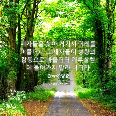 Picture 05 - 사도행전 21:4 KOR - 제자들을 찾아 거기서 이레를 - Bible Verse Picture