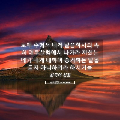 Picture 05 - 사도행전 22:18 KOR - 보매 주께서 내게 말씀하시되 속히 - Bible Verse Picture