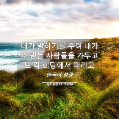 Picture 05 - 사도행전 22:19 KOR - 내가 말하기를 주여 내가 주 믿는 - Bible Verse Picture