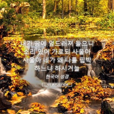 Picture 05 - 사도행전 22:7 KOR - 내가 땅에 엎드러져 들으니 소리 - Bible Verse Picture