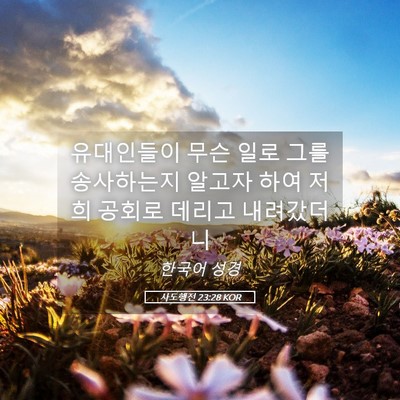 Picture 05 - 사도행전 23:28 KOR - 유대인들이 무슨 일로 그를 - Bible Verse Picture
