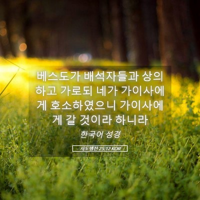 Picture 05 - 사도행전 25:12 KOR - 베스도가 배석자들과 상의하고 - Bible Verse Picture