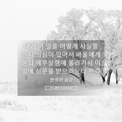 Picture 05 - 사도행전 25:20 KOR - 내가 이 일을 어떻게 사실할는지 - Bible Verse Picture