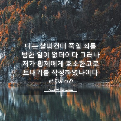 Picture 05 - 사도행전 25:25 KOR - 나는 살피건대 죽일 죄를 범한 일이 - Bible Verse Picture