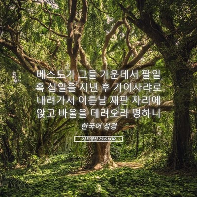 Picture 05 - 사도행전 25:6 KOR - 베스도가 그들 가운데서 팔일 혹 - Bible Verse Picture