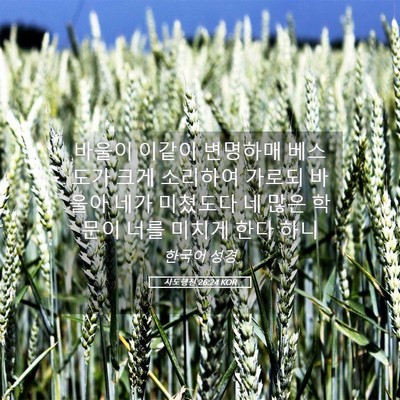 Picture 05 - 사도행전 26:24 KOR - 바울이 이같이 변명하매 베스도가 - Bible Verse Picture