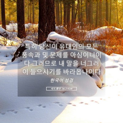 Picture 05 - 사도행전 26:3 KOR - 특히 당신이 유대인의 모든 풍속과 - Bible Verse Picture
