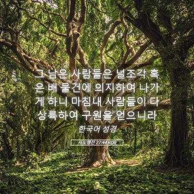 Picture 05 - 사도행전 27:44 KOR - 그 남은 사람들은 널조각 혹은 배 - Bible Verse Picture