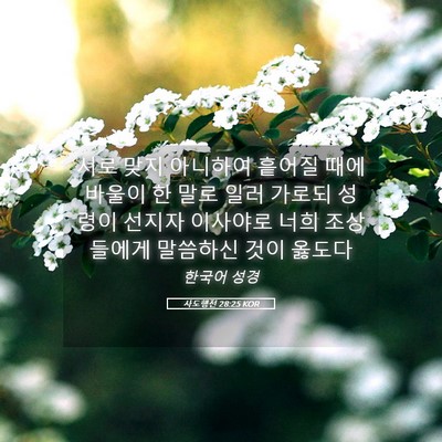 Picture 05 - 사도행전 28:25 KOR - 서로 맞지 아니하여 흩어질 때에 - Bible Verse Picture