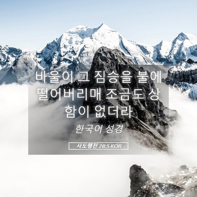 Picture 05 - 사도행전 28:5 KOR - 바울이 그 짐승을 불에 떨어버리매 - Bible Verse Picture