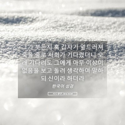 Picture 05 - 사도행전 28:6 KOR - 그가 붓든지 혹 갑자기 엎드러져 - Bible Verse Picture