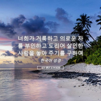 Picture 05 - 사도행전 3:14 KOR - 너희가 거룩하고 의로운 자를 - Bible Verse Picture
