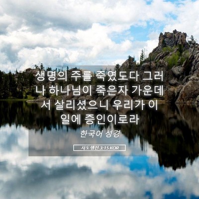 Picture 05 - 사도행전 3:15 KOR - 생명의 주를 죽였도다 그러나 - Bible Verse Picture
