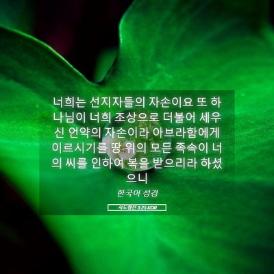 Picture 05 - 사도행전 3:25 KOR - 너희는 선지자들의 자손이요 또 - Bible Verse Picture