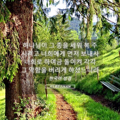 Picture 05 - 사도행전 3:26 KOR - 하나님이 그 종을 세워 복 주시려고 - Bible Verse Picture