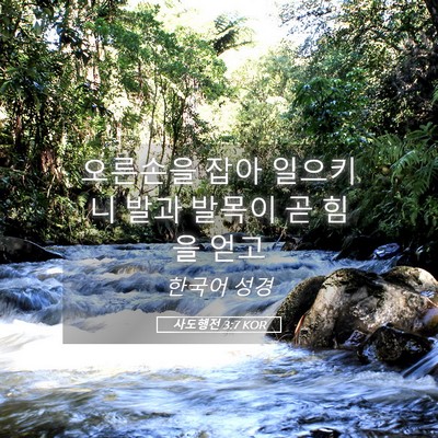 Picture 05 - 사도행전 3:7 KOR - 오른손을 잡아 일으키니 발과 발목이 - Bible Verse Picture