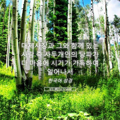 Picture 05 - 사도행전 5:17 KOR - 대제사장과 그와 함께 있는 사람 즉 - Bible Verse Picture