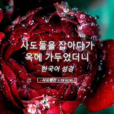 Picture 05 - 사도행전 5:18 KOR - 사도들을 잡아다가 옥에 - Bible Verse Picture